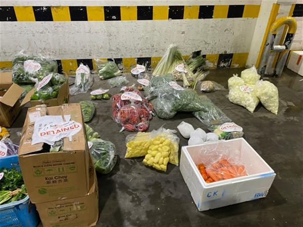 A total of about 378kg of undeclared fresh fruits and vegetables were detected and seized. (Photo: SFA)