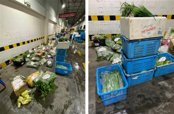 A total of about 378kg of undeclared fresh fruits and vegetables were detected and seized. (Photo: SFA)