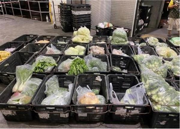 Photo of Some of the illegally imported produce_cabbage